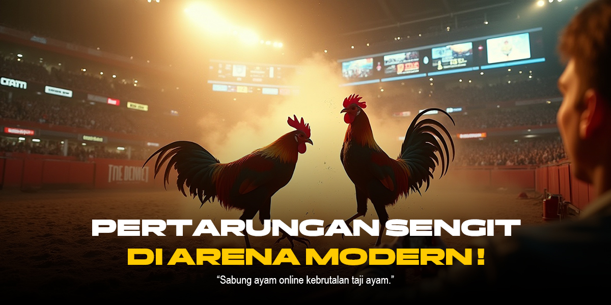 Mengenal Jenis Ayam Aduan dan Odds di SV388 Sabung Ayam